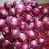 Fresh High Quality 10Kg/20Kg Mesh Bag Red Peeled Onions in Bulk Fresh Onions