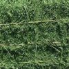 ALFAFA HAY in BALES, TIMOTHY HAY, and ALFAFA HAY PELLETS for SALE LUCERNE ALFALFA HAYS for ANIMAL FEEDING