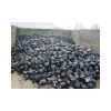 AC and Fridge Compressor Scrap/used Compressor 99.9% Compressor Scraps