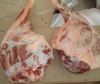 HALAL Fresh, Frozen Goat/ Mutton Meat/ Lamb Meat Carcass