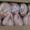 Wholesale Price Frozen Chicken Feet / Paws / Breast / Drumsticks Halal Chicken Meat