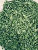 SVM EXPORTS MORINGA DR...