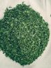 moringa leaf