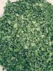 moringa leaf