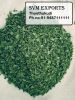 moringa leaf