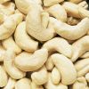 Raw / Salted Roasted Cashew Nuts W180, W210, W240, W320, W450 - Cashew Nuts