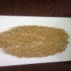 Animal Feed and Human Consumption Dried Wheat Grain for Wholesale