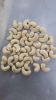 Raw / Salted Roasted Cashew Nuts W180, W210, W240, W320, W450 - Cashew Nuts