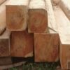 bilinga  Africa tropical Hard Wood Timber  