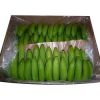 Green Cavendish Bananas