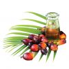 RBD Palm Olein Oil CP-10