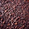 Raw Cocoa Bean