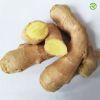 Air Dried Fresh Ginger