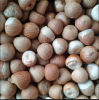 Betel nuts