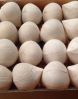 Fresh Cocnut