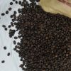 Arabica Coffee Bean 