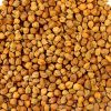 Brown Chickpea