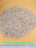 1509 basmati rice