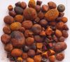 Buy Ox Gallstones / Buy Cattle Gallstones / Human Gallstones 