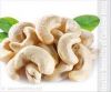 cashew nuts