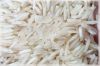 1509 Basmati Rice (8.3...