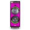 High Power Dual Sub-woofer Party Speaker System BK-172B