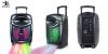 New Creative Design Portable Trolley Speaker Wholesales BK-N1202