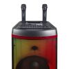 High Power Dual Sub-woofer Party Speaker System BK-172B