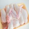 high quality FROZEN CHICKEN WHOLE GRILLER 100% NATURAL