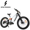 48V 17.5Ah lithium battery 1000W mid motor Bafang M620 dual suspension fat tire 11 speed electric motorcycle/ electric bicycle