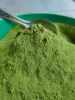 Moringa Powder