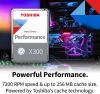 Toshiba X300 10TB Perf...