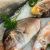 Brown Grouper/Fresh Gr...