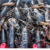 Caribbean Spiny Lobster Panulirus Argus/Australian