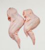 EXPORT GRADE HALAL FROZEN WHOLE CHICKEN CHICKEN FEET CHICKEN PAW