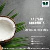 Coconut