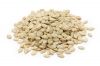 MELON SEEDS