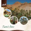 Dates deglet Nour of T...