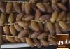 Dates deglet Nour of T...