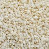 High Quality Sesame Se...