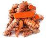 High Quality Turmeric ...