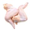  FREE SHIPPING Brazil Halal frozen whole chicken