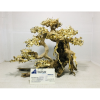 Best selling bonsai driftwood for betta fish tank decoration 