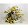 Exporting aquarium bonsai driftwood in bulk at a low cost 