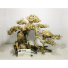 Hot items aquarium bonsai driftwood for wholesale at a low cost 