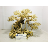 Exporting aquarium bonsai driftwood in bulk at a low cost 