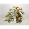 Hot items aquarium bonsai driftwood for wholesale at a low cost 