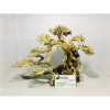 Best selling bonsai driftwood for betta fish tank decoration 