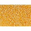 Yellow Maize