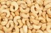 Cashew nut